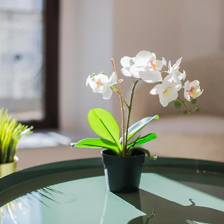 Apartment De Manuel By Montellano