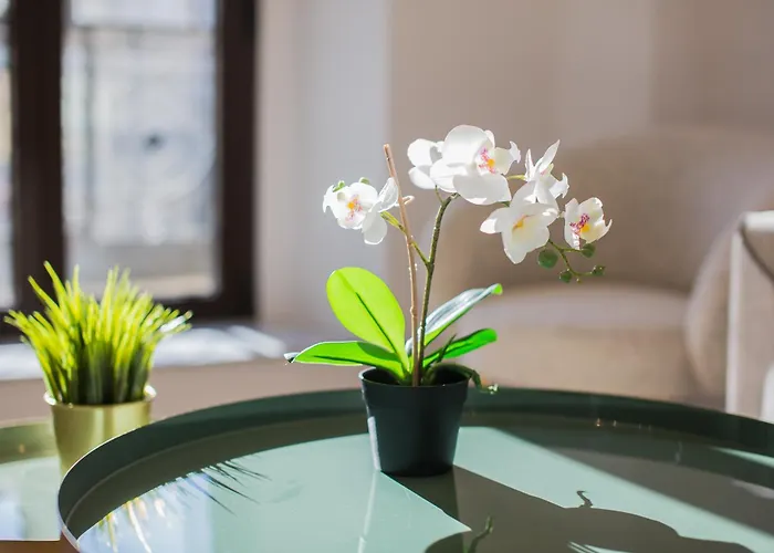 아파트 De Manuel By Montellano